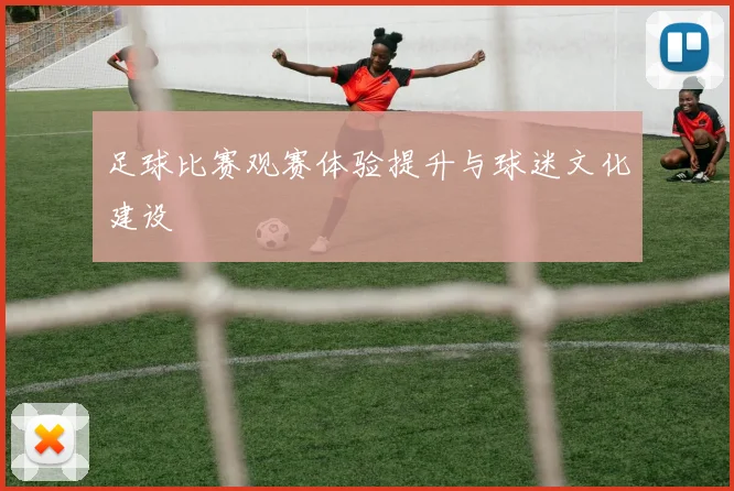 足球比赛观赛体验提升与球迷文化建设